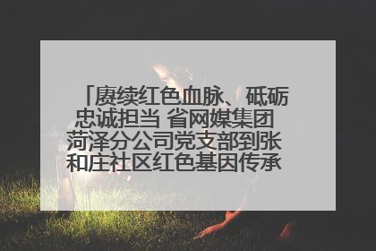 赓续红色血脉、砥砺忠诚担当 省网媒集团菏泽分公司党支部到张和庄社区红色基因传承馆开展主题党日活动