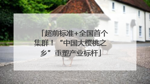 超前标准+全国首个集群！“中国大樱桃之乡”重塑产业标杆