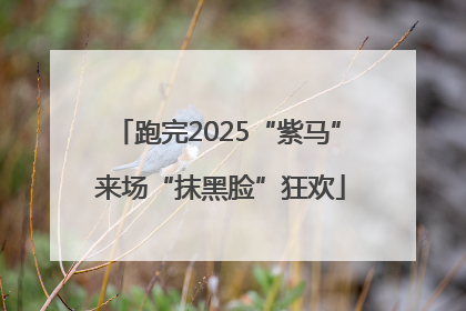 跑完2025“紫马” 来场“抹黑脸”狂欢