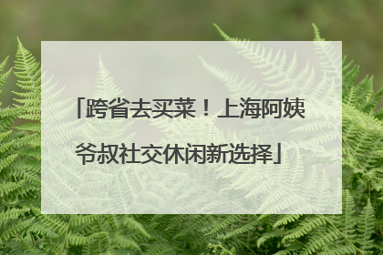跨省去买菜！上海阿姨爷叔社交休闲新选择
