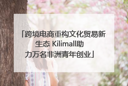 跨境电商重构文化贸易新生态 Kilimall助力万名非洲青年创业