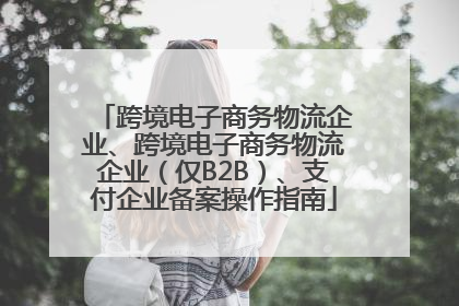 跨境电子商务物流企业、跨境电子商务物流企业（仅B2B）、支付企业备案操作指南