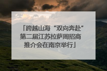 跨越山海“双向奔赴” 第二届江苏拉萨周招商推介会在南京举行