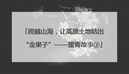 跨越山海，让高原土地结出“金果子”——援青故事②