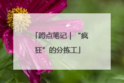 蹲点笔记｜“疯狂”的分拣工