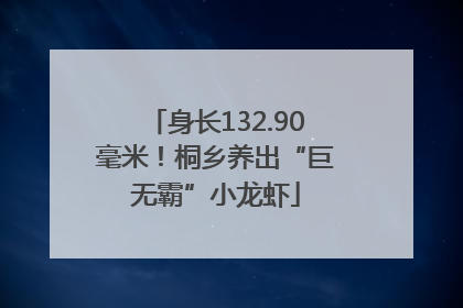 身长132.90毫米！桐乡养出“巨无霸”小龙虾