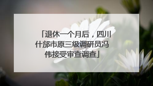 退休一个月后，四川什邡市原三级调研员冯伟接受审查调查