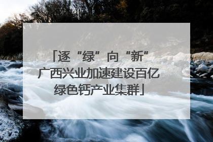 逐“绿”向“新” 广西兴业加速建设百亿绿色钙产业集群