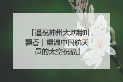 遥祝神州大地粽叶飘香｜重温中国航天员的太空祝福