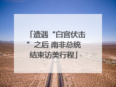 遭遇“白宫伏击”之后 南非总统结束访美行程