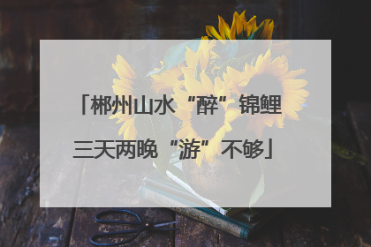 郴州山水“醉”锦鲤 三天两晚“游”不够