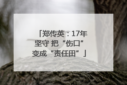 郑传英：17年坚守 把“伤口”变成“责任田”