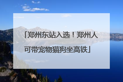 郑州东站入选！郑州人可带宠物猫狗坐高铁