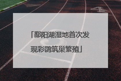 鄱阳湖湿地首次发现彩鹮筑巢繁殖