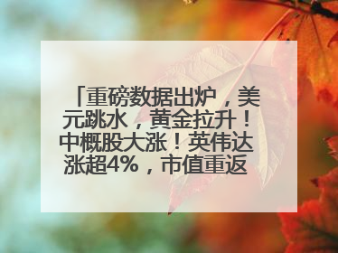 重磅数据出炉，美元跳水，黄金拉升！中概股大涨！英伟达涨超4%，市值重返全球第一！黄仁勋计划出售至多600万股股票