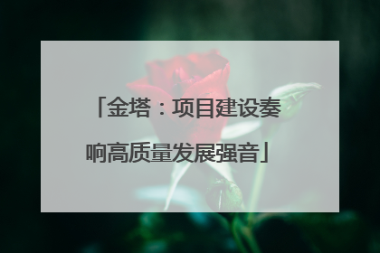 金塔：项目建设奏响高质量发展强音