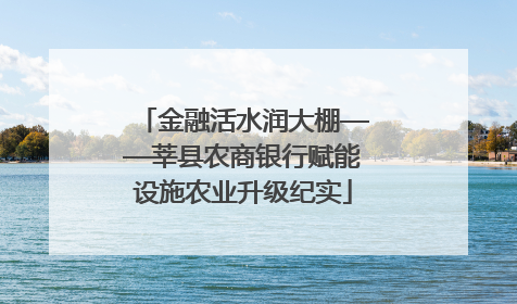 金融活水润大棚——莘县农商银行赋能设施农业升级纪实