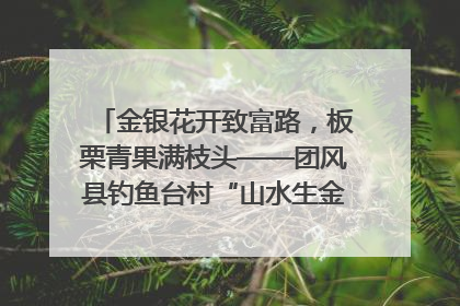 金银花开致富路，板栗青果满枝头——团风县钓鱼台村“山水生金”谱写共富新篇章
