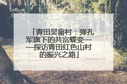 青田吴畲村：弹孔军旗下的共富蝶变——探访青田红色山村的振兴之路