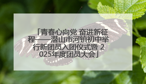 青春心向党 奋进新征程——潜山市河镇初中举行新团员入团仪式暨 2025年度团员大会