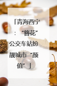 青海西宁：“簪花”公交车站扮靓城市“颜值”
