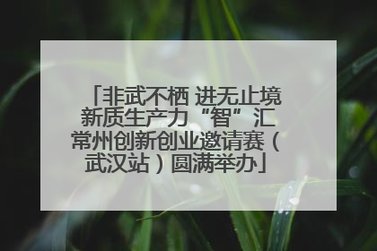 非武不栖 进无止境 新质生产力“智”汇常州创新创业邀请赛（武汉站）圆满举办