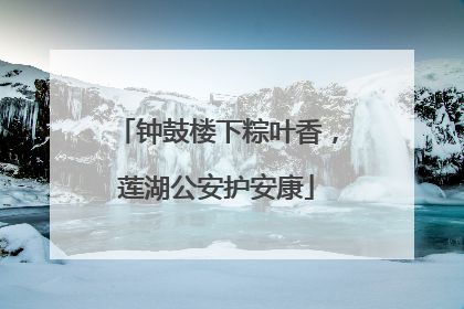 钟鼓楼下粽叶香，莲湖公安护安康