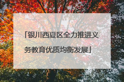 银川西夏区全力推进义务教育优质均衡发展