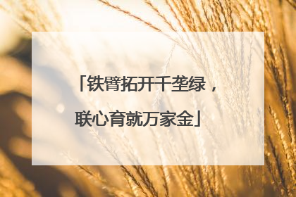 铁臂拓开千垄绿，联心育就万家金