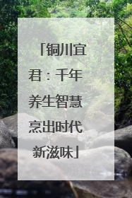 铜川宜君：千年养生智慧烹出时代新滋味