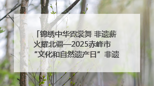 锦绣中华霓裳舞 非遗薪火耀北疆—2025赤峰市“文化和自然遗产日”非遗宣传展示活动纪实