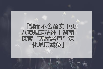锲而不舍落实中央八项规定精神丨湖南探索“无扰督查”深化基层减负