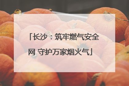 长沙：筑牢燃气安全网 守护万家烟火气