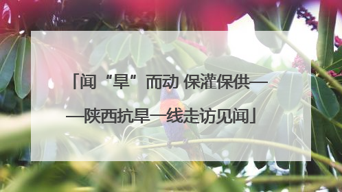闻“旱”而动 保灌保供——陕西抗旱一线走访见闻