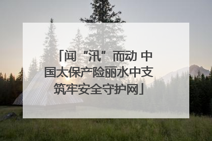 闻“汛”而动 中国太保产险丽水中支筑牢安全守护网