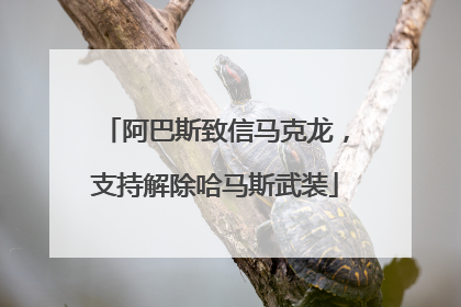阿巴斯致信马克龙，支持解除哈马斯武装