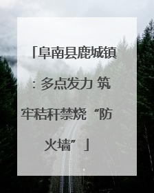 阜南县鹿城镇：多点发力 筑牢秸秆禁烧“防火墙”