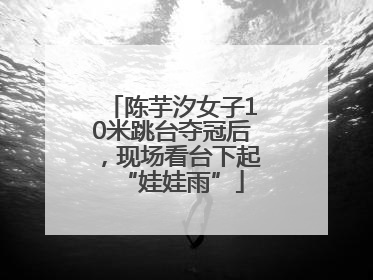 陈芋汐女子10米跳台夺冠后，现场看台下起“娃娃雨”