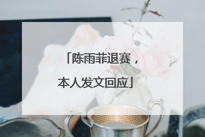 陈雨菲退赛，本人发文回应