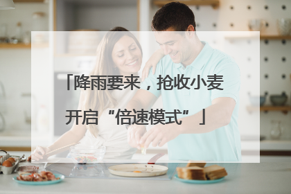 降雨要来，抢收小麦开启“倍速模式”