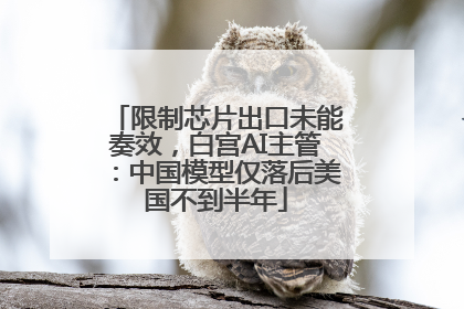 限制芯片出口未能奏效，白宫AI主管：中国模型仅落后美国不到半年