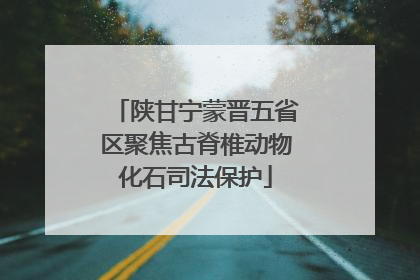 陕甘宁蒙晋五省区聚焦古脊椎动物化石司法保护