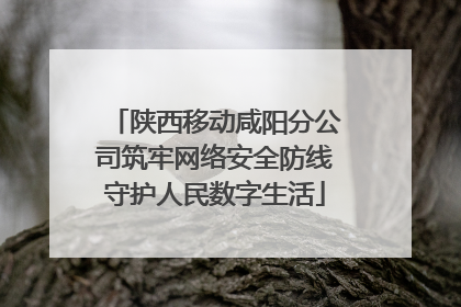陕西移动咸阳分公司筑牢网络安全防线守护人民数字生活