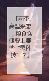 雨季、高温来袭，粮食仓储要上哪些“黑科技”？