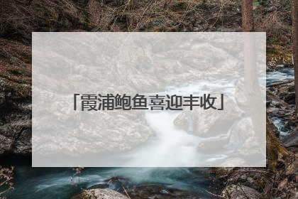 霞浦鲍鱼喜迎丰收
