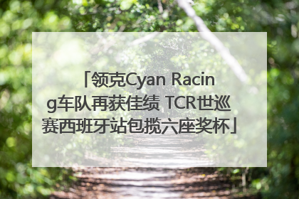 领克Cyan Racing车队再获佳绩 TCR世巡赛西班牙站包揽六座奖杯