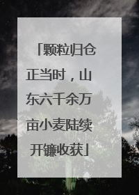 颗粒归仓正当时，山东六千余万亩小麦陆续开镰收获