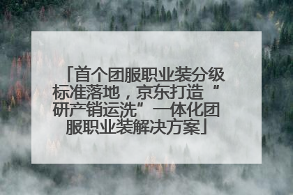首个团服职业装分级标准落地，京东打造“研产销运洗”一体化团服职业装解决方案