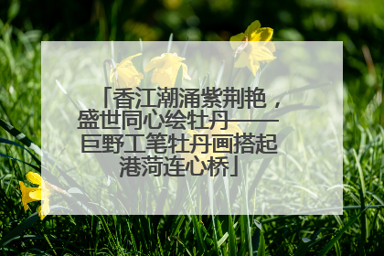 香江潮涌紫荆艳，盛世同心绘牡丹——巨野工笔牡丹画搭起港菏连心桥