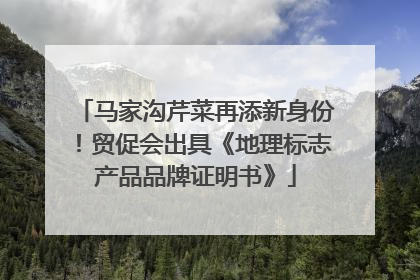 马家沟芹菜再添新身份！贸促会出具《地理标志产品品牌证明书》